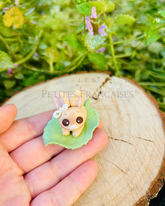 Lapin – Miniature et Petite Feuille | Les Petites Françaises