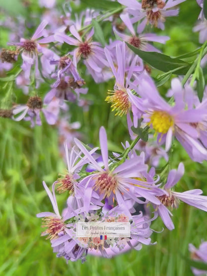 Caroline - Sorcière Couturière - Sculpture d'Art Unique